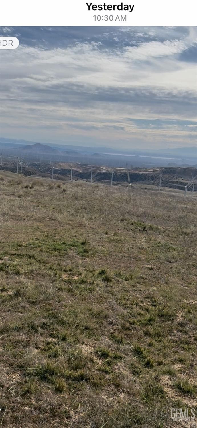 Cameron Road