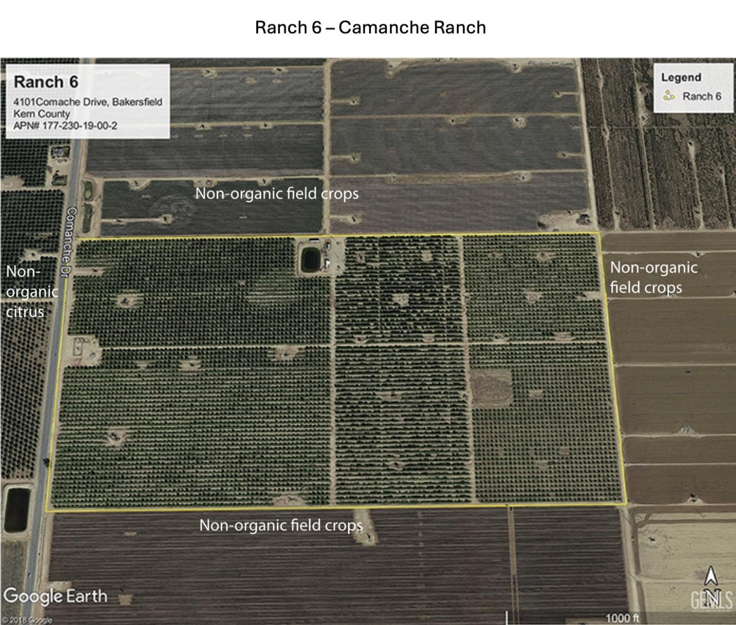 Comanche 80ac Organic Navels