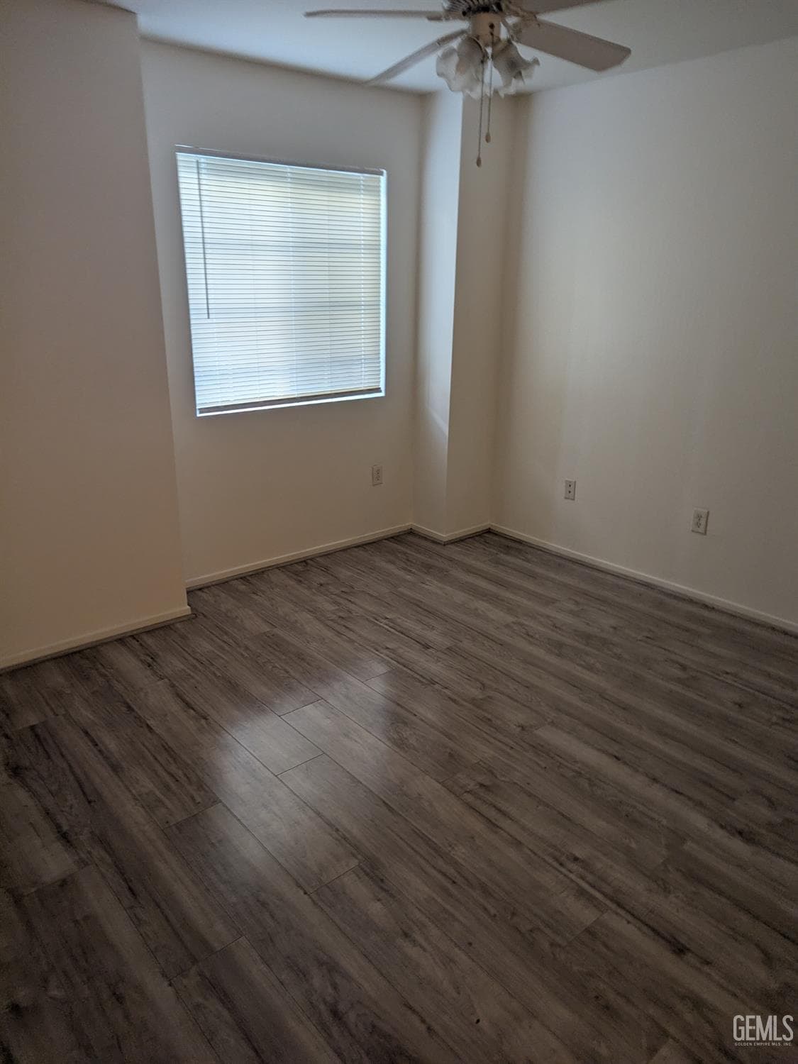 56B Hosking Avenue — photo 4