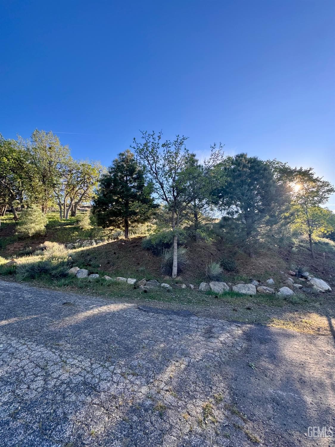 157 Lusanne Ct