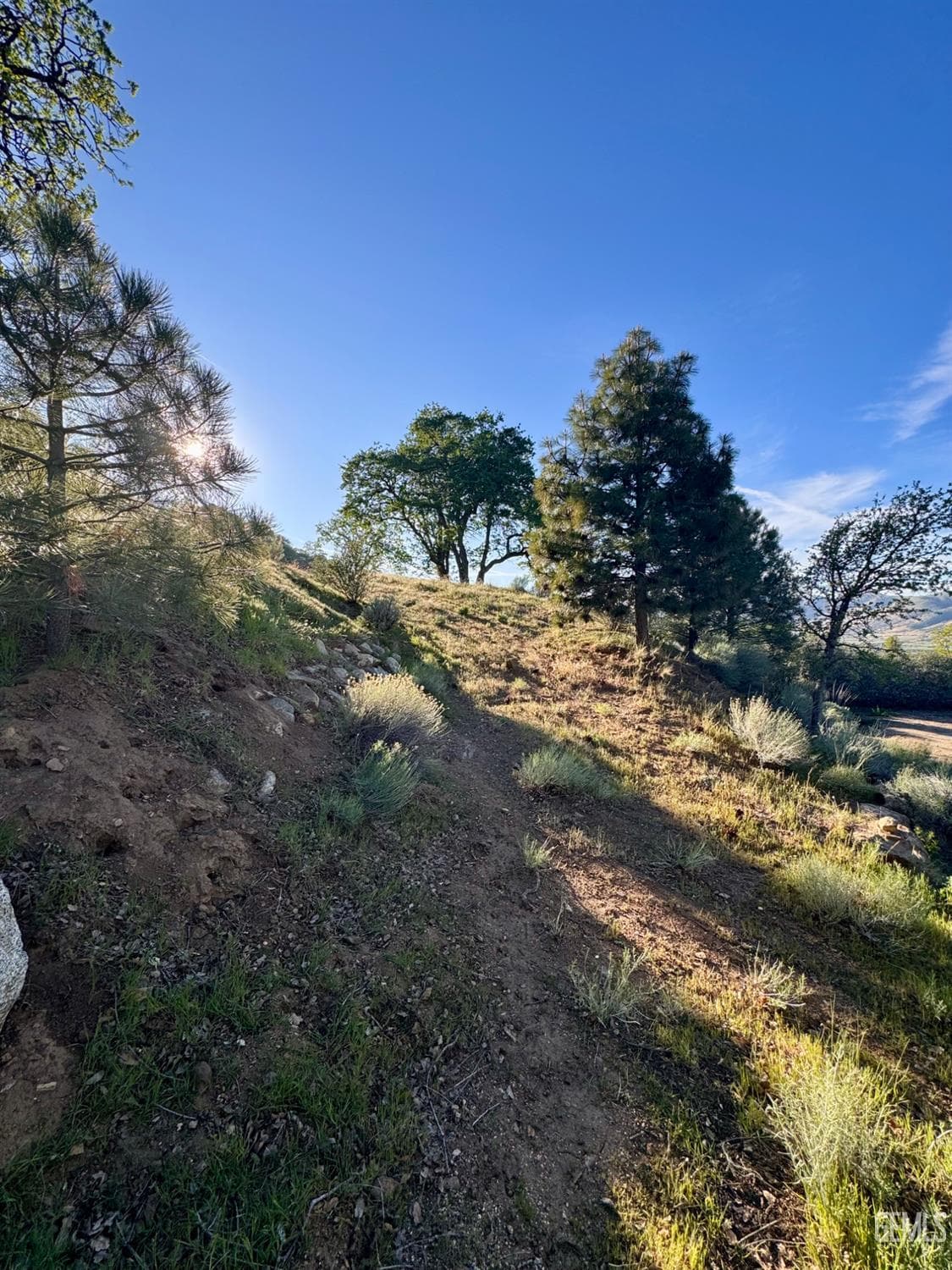 157 Lusanne Ct — photo 4