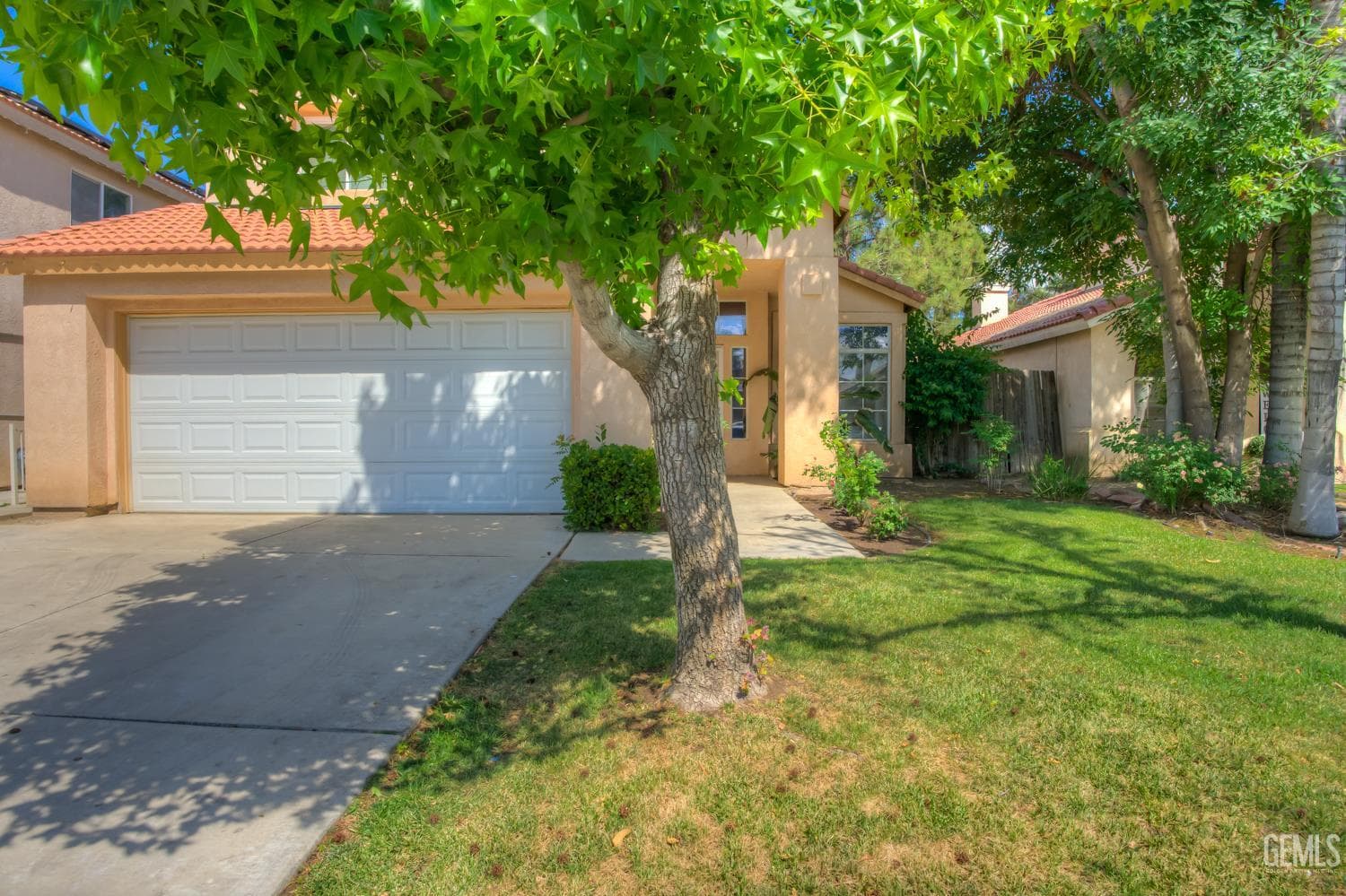 4004 Amur Maple Drive — photo 4