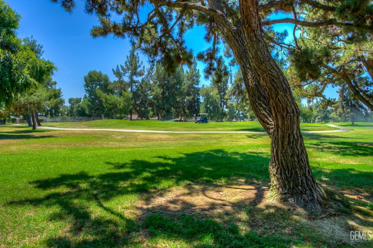5501 Cypress Point Drive — photo 6